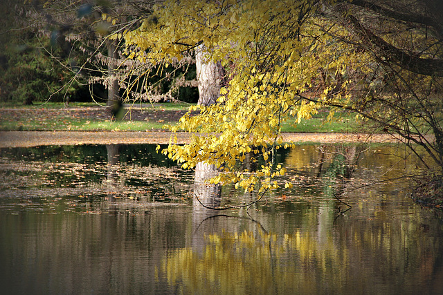 Herbststille