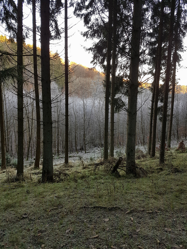 Blankenheim - In der Nähe des Schaafbachtales