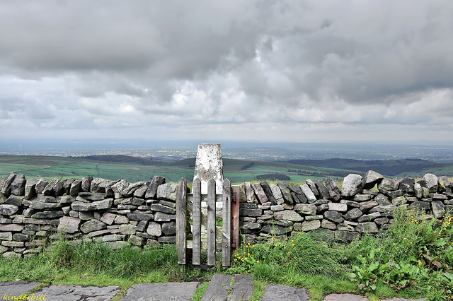 Shinning Tor    /   June 2016