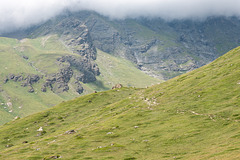 Alpine Landschaft nordöstlich des Lac du Mont Cenis, ca. 2300 müM