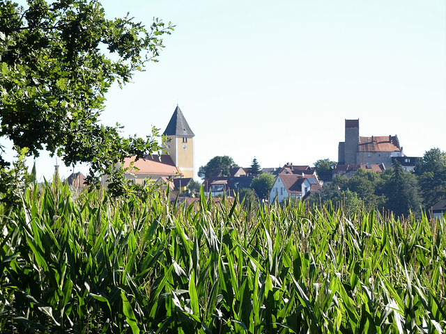 Leonberg