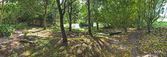 September round the pond