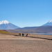 Plateau Chile Bolivia