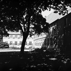 Im Schatten unter der Eiche - HBM Im Schatten unter der Eiche - HBM