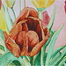 2014-07-25 la-tulipe-orange web