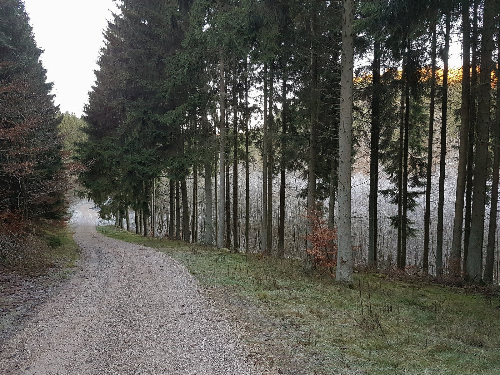 Blankenheim - In der Nähe des Schaafbachtales