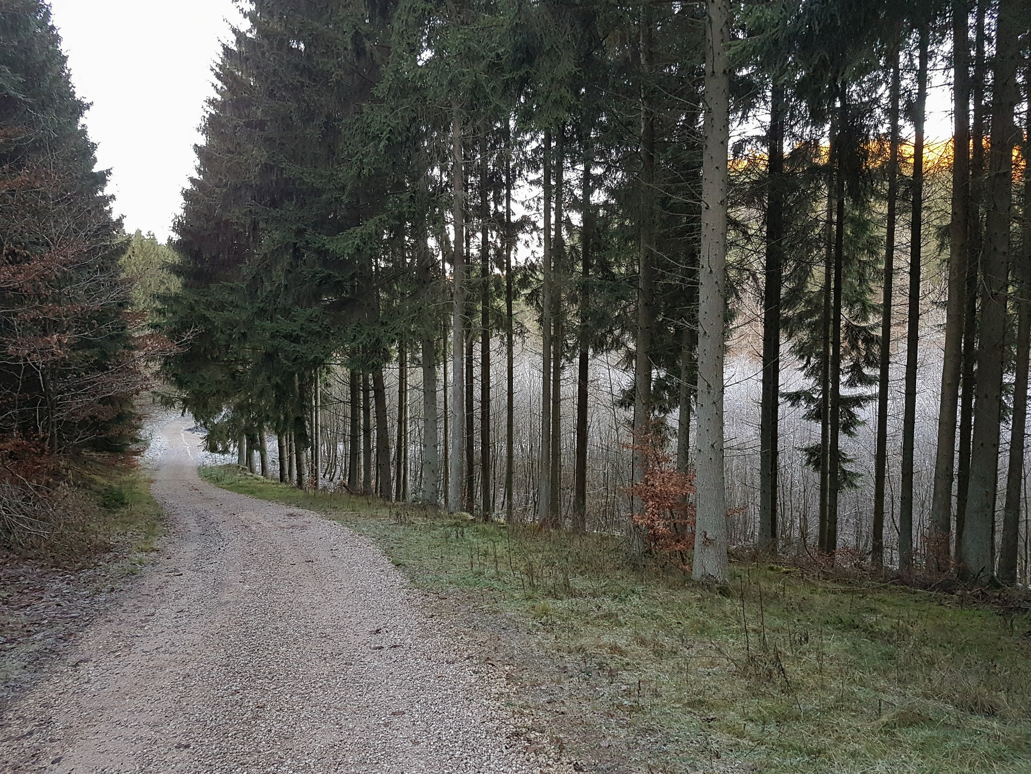 Blankenheim - In der Nähe des Schaafbachtales