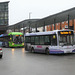 First Essex buses in Chelmsford - 6 Dec 2019 (P1060198)