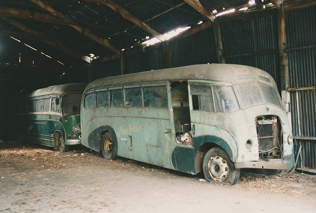 Norfolk's of Nayland APV 128 and WUU 553 - 2 Aug 1994 Norfolk's of Nayland APV 128 and WUU 553 - 2 Aug 1994