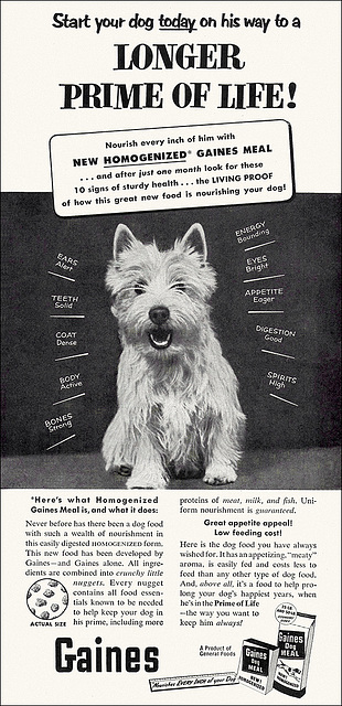 Gaines Dog Food Ad, 1953