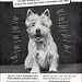 Gaines Dog Food Ad, 1953