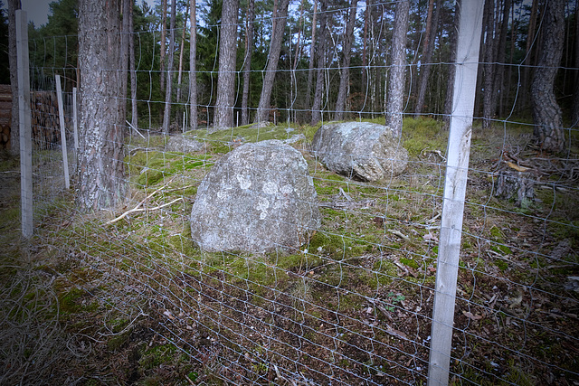 If you want to feed these stones, please buy our special HFF stone food! If you want to feed these stones, please buy our special HFF stone food!