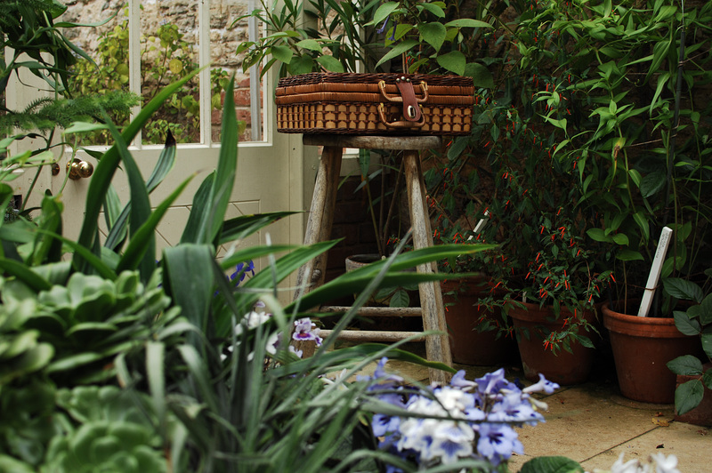 Lacock Abbey Greenhouse