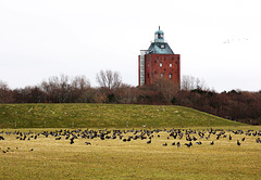 Hamburger Leuchtturm