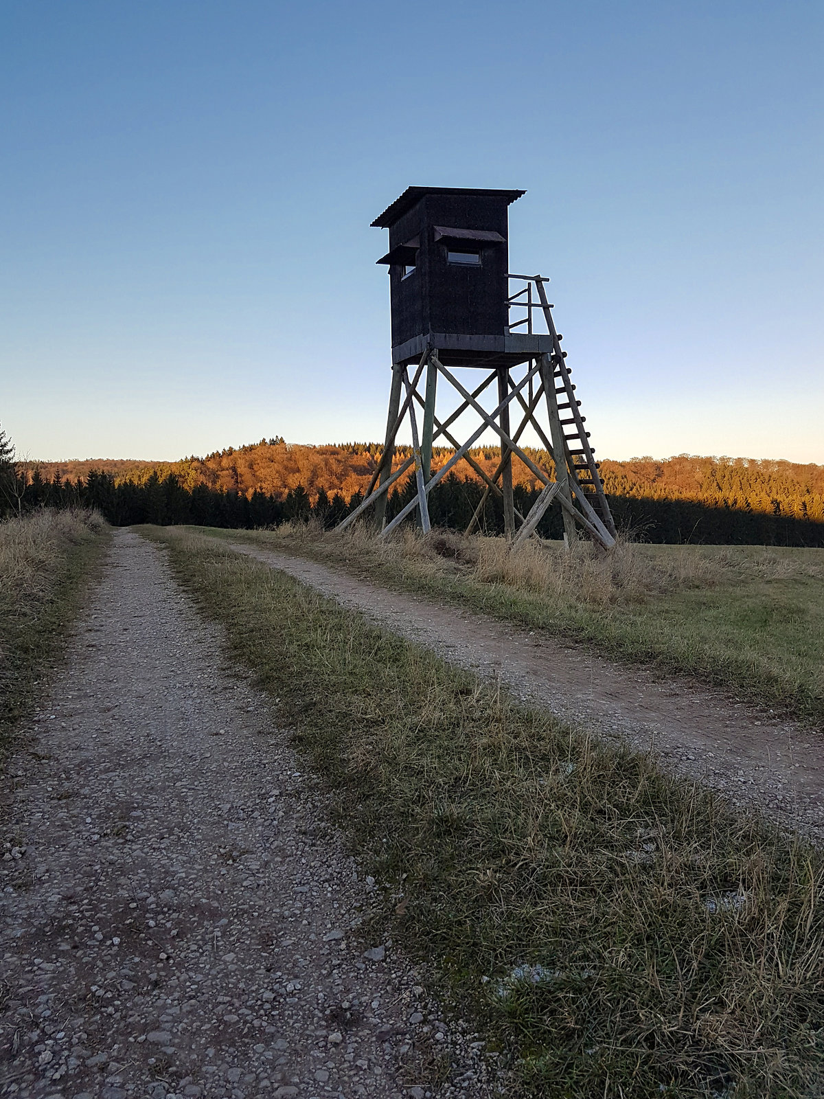 Blankenheim - In der Nähe des Schaafbachtales