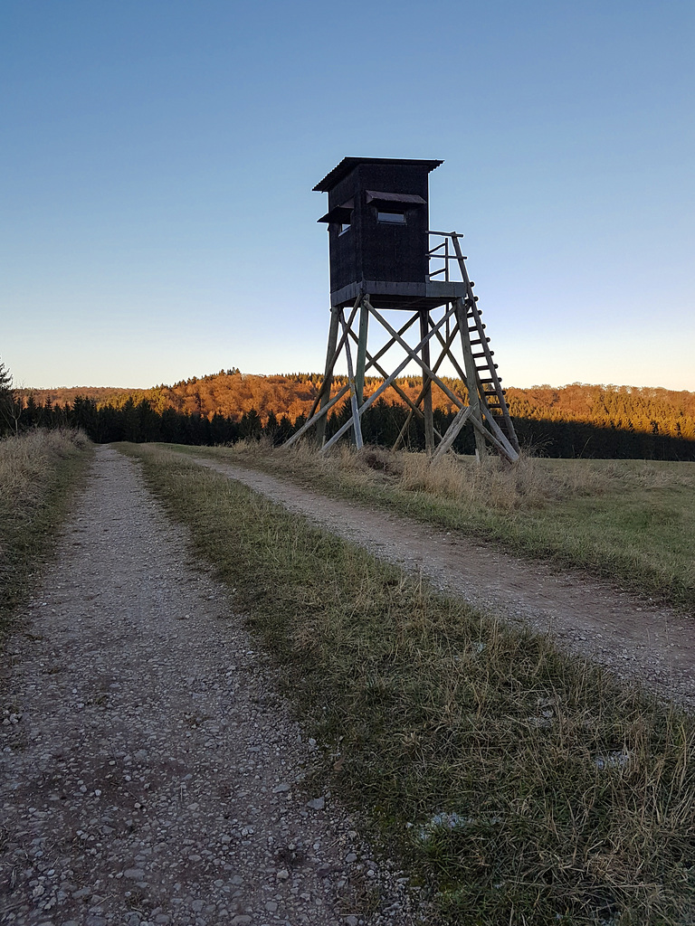 Blankenheim - In der Nähe des Schaafbachtales