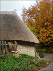 thatched barn with squireel
