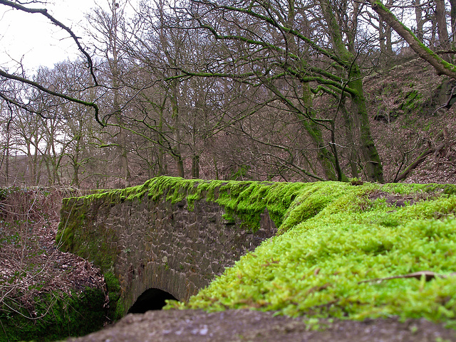 Bridge over River Sett