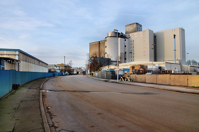 Rheinstraße (Rhein-Ruhr-Hafen, Mülheim-Speldorf) / 7.01.2023