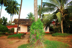 Vedavyasa Bhat House