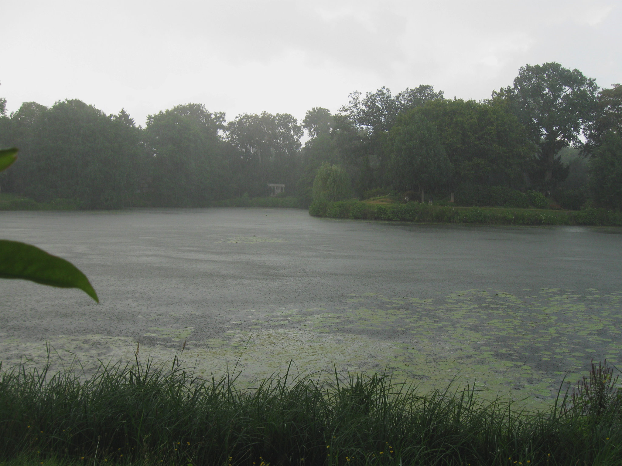 3. Wolkenbruch