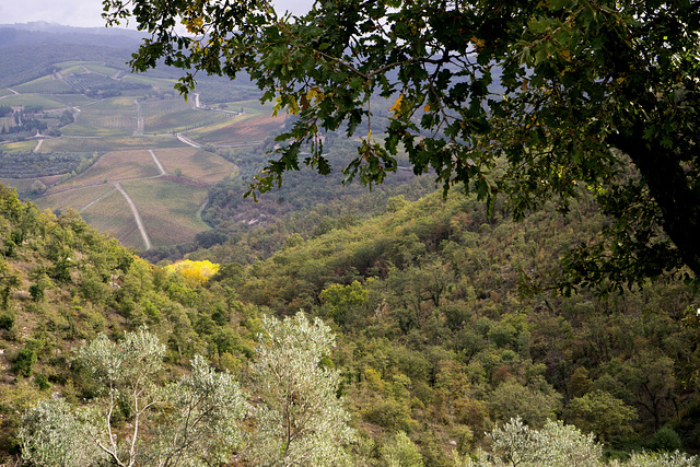 Chianti countryside