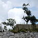 Inca ruins