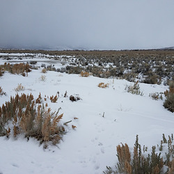 20190209 124052 001 20190209 124052 001