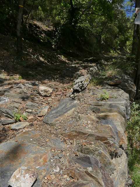 20190622 Rando solo St André de Valborgne (Cevennes) (13)