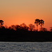 sunset on the Zambesi