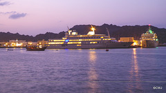 LR-1040342