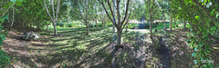 September round the pond
