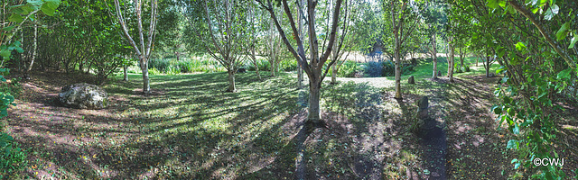 September round the pond