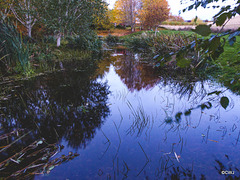 Dusk Reflections