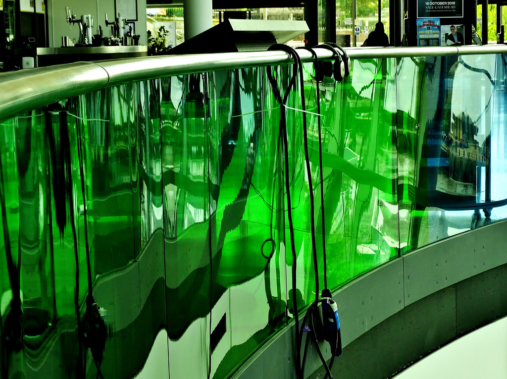 Reflected Inside The Sage. Gateshead