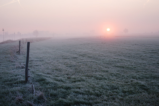 Fence