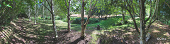 September round the pond