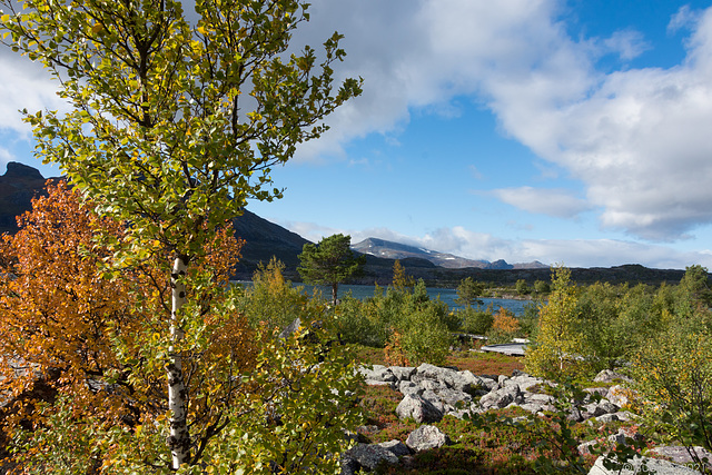 Herbst in Laponia (© Buelipix)