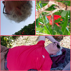 My vision today afternoon, lying on a stone bench, waiting for the end of Xi's tennis training