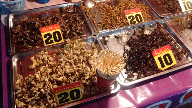 Insectes assortis à se mettre sous la dent / Unusual snacks