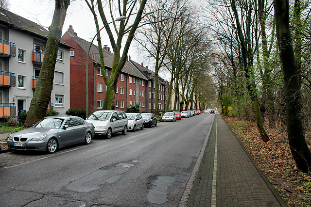 Devensstraße (Bottrop-Batenbrock) / 19.03.2017