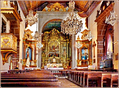 Funchal : Igreja de Nossa Senora do Monte -  interior view
