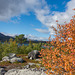 Herbst in Laponia (© Buelipix)