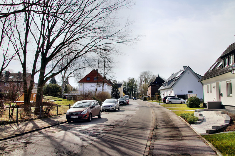 Lange Wiese (Dortmund-Kurl) / 12.03.2022