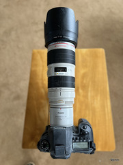 Ready for some bird photography