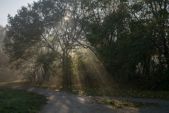 Herbstsonne