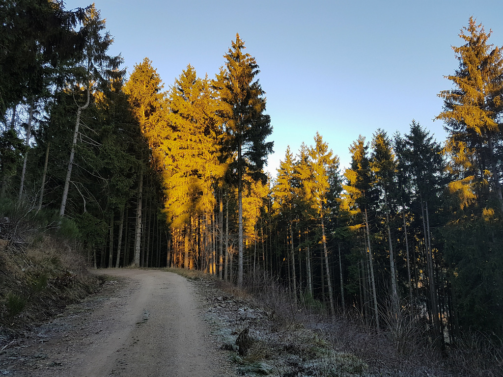 Blankenheim - In der Nähe des Schaafbachtales