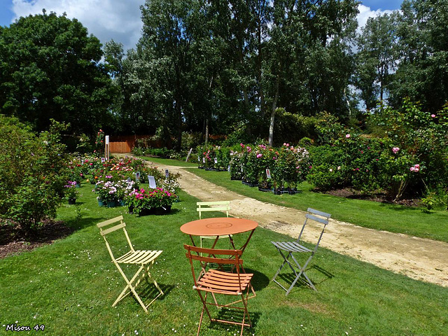 Doué la Fontaine (pays de Loire)