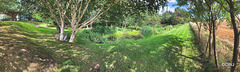 September round the pond