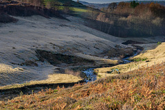 Hurst Brook wiggles down the valley